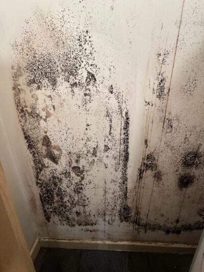 Photo of a white wall with large amounts of black mould
